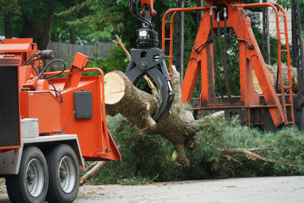 Best Lawn Watering Services  in Mystic, CT